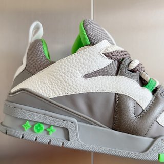 Louis Vuitton LV Trainer Skate Sneaker Grey green